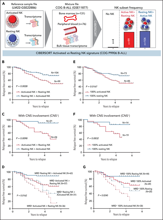 High frequencies of activated NK cells predict poor clinical prognosis in high-risk B-ALL. (A) Schematic diagram depicting the steps to estimate the relative proportions of activated and resting NK cells in patients with B-ALL from the COG P9906 clinical trial (GSE11877) using CIBERSORT. The LM22 signature matrix (GSE22886), which contains the transcriptomic profile of resting NK cells and cytokine (IL-2, IL-15)–activated NK cells, was used to deconvolute the bulk transcriptomic profiles of COG P9906 patients with B-ALL. After excluding 4 patients who lacked NK cells, the remaining patients were assigned to 2 cohorts: resting NK > activated NK (n = 104) and activated NK > resting NK (n = 99). Comparison of RFS probabilities of COG P9906 patients with B-ALL divided into resting NK > activated NK and activated NK > resting NK groups (B), resting NK > activated NK CNS+ and activated NK > resting NK CNS+ groups (C), resting NK > activated NK MRD+, activated NK > resting NK MRD+, resting NK > activated NK MRD−, and activated NK > resting NK MRD− groups (D), 100% activated NK and 100% resting NK groups (E), 100% activated NK CNS+ and 100% resting NK CNS+ groups (F), and 100% activated NK MRD+, 100% resting NK MRD+, 100% activated NK MRD−, and 100% resting NK MRD− groups (G). Survival curves were calculated using the Kaplan-Meier method. Exact P values were calculated using the log-rank test.