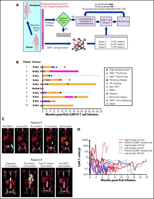 Patient outcomes and piggyBac CAR19 T-cell expansion and persistence after infusion of escalating doses. (A) Clinical trial schema. Patients with relapsed or refractory B-cell malignancies post–allogeneic HSCT (Allo HSCT) received up to 3 escalating doses of HLA-matched sibling donor-derived piggyBac CAR19 T cells at least 1 month apart. Trial eligibility was assessed at enrollment and immediately before infusion. Those ineligible for infusion could elect to receive CAR19 T cells under the Therapeutic Goods of Australia Special Access Scheme (SAS) off-trial. (B) Swimmer plot showing disease response to escalating doses of donor-derived piggyBac CAR19 T cells in each patient. (C) Serial PET-CT scan images showing development of CAR19 T-cell lymphoma in 2 patients in CR of B cell malignancy. Patient 2 died of complications of CAR19 T-cell lymphoma and its treatment; patient 8 achieved CR of CAR19 T-cell lymphoma with 4 cycles of augmented CHOP chemotherapy, and remains in CR post–second allogeneic HSCT. Blue arrow, site of original disease for patient 2; red arrows, sites of CAR T-cell lymphoma for each patient. (D) Donor-derived piggyBac CAR19 T-cell expansion and persistence in the peripheral blood of each patient was assessed by flow cytometry. Data for the 2 patients who developed a CAR T-cell lymphoma are highlighted. chemo, chemotherapy; Cyclo, cyclophosphamide; DLBCL, diffuse large B-cell lymphoma; Flu, fludarabine; sCRS, severe CRS.