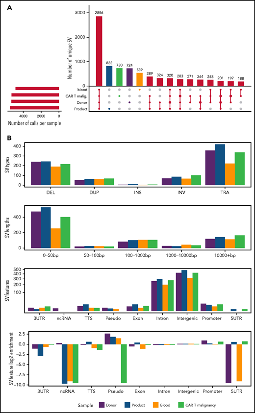 SVs across whole-genome-sequenced samples. (A) UpSet plot showing the intersection of SV calls across DNA extracted from CD4+ T cells isolated from untransduced healthy donor T cells (donor), CD4+ CAR T cells from the CAR T-cell product (product), expanded from patient 2’s peripheral blood (blood) and directly isolated from the malignancy (CAR T Malignancy). SVs detected uniquely within each sample are shaded in colors, maintained throughout the figure. On the bottom left is the number of calls per sample; intersections between samples (black) are shown by connecting bars in the lower right plot. (B) Distribution of SVs called uniquely for each sample, including SV type (3UTR, 3′ untranslated region; 5UTR, 5′ untranslated region; DEL, deletion; DUP, duplication; INS, insertion; INV, inversion; ncRNA, noncoding RNA; pseudo, pseudogene; TRA, translocation; TTS, triplex target DNA site), the length of each SV, and the genomic annotation per SV.