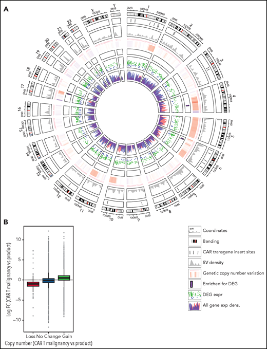 Correlation of insertion site and gene expression in CAR T-cell malignancy and infused CAR T-cell product. (A) Circos plot produced using the circlize package70 showing the changes found in the malignant CAR T cells related to individual chromosomes (Coordinates and Banding) including: CAR transgene insert sites (lines at each genomic position); SV density (gray density plot); genetic copy-number variation (red bars, increased; blue bars, reduced copy numbers); contiguous regions of the genome containing more differentially expressed genes (DEG) than expected by chance (Enriched for DEG, purple bars) defined using a binomial test for DE vs non DE over 10 Mbp windows (adjusted P < .05); all DEG with log-fold change (logFC) (Malignancy vs product) of >4 (DEG Expr) (logFC, adjusted P < .05) plotted at their genome coordinates (green, up; blue, down); and overall levels of gene expression (All Gene Exp Dens), with all genes binned as overexpressed (red density plot) or underexpressed (blue density plot) in malignancy vs product (logFC > or < 0) with gene density plotted as a function of distance over the genome. (B) Correlation between copy-number variation and altered gene expression showing correlation between copy-number gain and increased gene expression (blue box) in the malignant CAR T cells (Malignancy) compared with CAR+CD4+ T cells isolated from the product. ***P < .0001.