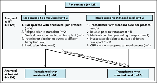 CONSORT diagram. Randomization and treatment of patients. CBU, cord blood unit.