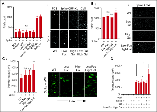 Low fucosylation and high galactosylation of the IgG tail enhances adhesion to VWF. Platelet adhesion to slides coated with immune complexes containing recombinant SARS-CoV-2 spike protein and COVA1-18 recombinant anti-spike IgG with modified glycosylation. (Ai) Numbers of platelets adhered to glass slides coated with FCS (negative control), spike protein only, or spike protein plus unmodified IgG (WT) or IgG modified to have Low Fuc, High Gal, or Low Fuc High Gal and (Aii) representative images (acquired at ×20 original magnification) of adhered platelets stained with DiOC6. (Bi) Numbers of platelets adhered to VWF plus immune complexes containing spike protein and modified IgGs and (Bii) representative images (acquired at ×20 original magnification) of adhered platelets. (Ci) Volume of thrombi formed on VWF with immune complexes containing spike and either WT IgG or IgG with modified glyosylation and (Cii) representative images (acquired at ×20 original magnification) of thrombi stained with DiOC6. (D) Volume of thrombi formed on spike, WT IgG, Low Fuc High Gal IgG, or VWF alone and in combination. Values are mean ± standard error of the mean (SEM). Significant differences were tested by 2-way analysis of variance (ANOVA) with the Tukey multiple comparisons test. *P < .05; **P < .01. n.s., not significant.
