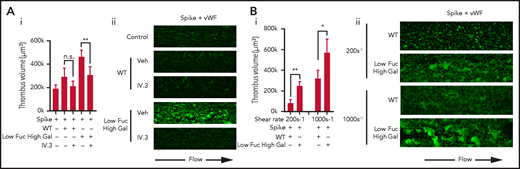 Platelet activation by Low Fuc High Gal IgG1 immune complexes is dependent on FcγRIIA and functions at low and high shear. (Ai) Volume of thrombi formed on VWF plus immune complexes containing spike and either WT IgG or IgG with Low Fuc High Gal in the presence or absence of 20 μg/mL IV.3 and (Aii) representative images (acquired at ×20 original magnification) of thrombi stained with DiOC6. (Bi) Volume of thrombi formed on VWF plus WT IgG or IgG with Low Fuc High Gal at a shear rate of 200 s−1 or 1000 s−1 and (Bii) representative images of thrombi (acquired at ×20 original magnification) stained with DiOC6. Values are mean ± SEM. Significant differences were tested by 2-way ANOVA with the Tukey multiple comparisons test. *P < .05; **P < .01. Veh, vehicle.