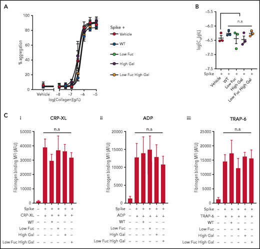 Aggregation and integrin αIIbβ3 activation are unaffected by COVID19 immune complexes. (Ai) Concentration response curves plotting platelet aggregation after stimulation with a range of type I collagen concentrations (from 10 μg/mL to 10 ng/mL) in the presence of immune complexes containing spike plus WT IgG or IgG with modified glycosylation and (Bi) plots of logEC50 for collagen in the presence of the different treatments, the bars represent the mean ± SEM. (C) Fibrinogen binding to platelets measured by flow cytometry after stimulation with (Ci) 10 μM ADP, (Cii) 1 μg/mL CRP-XL, and (Ciii) 1 μM TRAP-6 in the presence of spike only or immune complexes containing WT IgG or IgG with modified glycosylation. Significant differences were tested by 2-way ANOVA with the Tukey multiple comparisons test. AFU, active fluorescence units; MFI, mean fluorescent intensity.