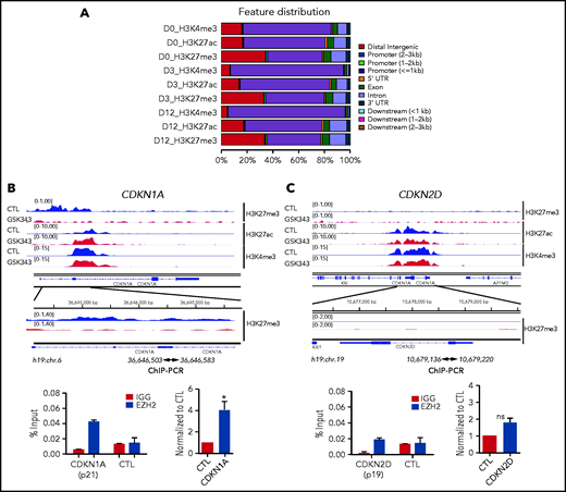 ChIP-seq analyses in the presence of EZH2 inhibition during MK differentiation. (A) Peak distribution along the gene regions as indicated on the right side. (B) ChIP-seq profiles of the 3 histone marks (H3K4me3, H3K27me3, and H3K27ac) across CDKN1A (p21) (blue, control; red, GSK343 treated at day 12 of culture) are shown in the upper panel and ChIP-EZH2 qPCR in the lower panel. (C) ChIP-seq profiles of the 3 histone marks (H3K4me3, H3K27me3, and H3K27ac) across CDKN2D (p19) (blue, control; red, treated with GSK343 at day 12 of culture) are shown in the upper panel and ChIP-EZH2 qPCR in the lower panel. (B-C) In the lower panel, 1 representative ChIP experiment of 3 experiments is shown in duplicate on the left, and the statistical analysis of 3 independent ChIP experiments is shown on the right. Data were compared using a Student t test with Mann-Whitney correction. All data represent means ± SEM. *P < .05.