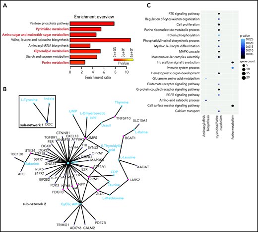 GlcNAc links purine and pyrimidine metabolism to RTK and MAP cascade signaling. (A) Most deregulated metabolic pathways induced by a 24-hour treatment of 20 mM GlcNAc in KIT D816V human MCs. Pathway analysis was performed using MetaboAnalyst 4.0. Each bar represents a pathway, and the color of the bar indicates the P value of the calculated enrichment ratio. (B) Network analysis between the 199 genes in the open region by GlcNAc and the 61 metabolites differentially deregulated par GlcNAc. The 2 subnetworks identified by MetaboAnalyst 4.0 are shown. (C) Integration of the gene pathways and the metabolite pathways deregulated by GlcNAc. Dot color indicates the P value; dot size indicates the number of genes in the pathway.