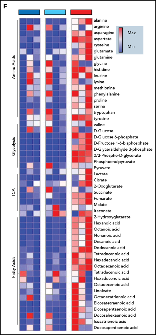 Immunometabolic changes indicative of TI in macrophages expressing BRAFV600E. (A) Western blot determination of phosphorylated AKT (p-AKT). The levels of total AKT in whole-cell lysates were used as the protein-loading control. (B) Analysis of ECAR measurements on primary human monocytes isolated from healthy volunteers in 3 different conditions, nontransduced (UT), transduced with wtBRAF (WT) or BRAFV600E (VE), in basal conditions and after sequential addition of glucose, oligomycin, and 2-DG. (C) Relative ECAR to oxygen consumption rate ratio (right). ***P < .001; ****P < .0001, unpaired Student t test. (D) Summary of metabolomics studies: primary human monocytes isolated from 3 healthy volunteers were cultured in 3 different conditions: nontransduced (UT, isolated primary monocytes), transduced with wtBRAF (WT), and transduced with BRAFV600E (VE). Cells were cultured in RPMI-1640+FBS only (Cold) or RPMI-1640+FBS with the addition of 13C6-glucose labeled glucose or 13C5-glutamine for tracing experiments. (E) Principal component analysis (PCA) of high-throughput metabolomics analysis on cold samples showing separation of experimental conditions along the component 1 axis (76.3%); interindividual variability is described by the component 2 axis (12.8%). (F) Hierarchical clustering analysis of the top 50 significant metabolites (Student t test) is represented as a heat map grouped by pathways that are known to be relevant to TI. (G) Overview of the glycolysis pathway in tracing experiments with U-13C6-glucose. (H) Overview of the TCA pathway in tracing experiments with 13C5-glutamine. (I) Incorporation of carbons in de novo synthesized cholesterol: carbon molecules deriving from either labeled glucose (red) or labeled glutamine (blue) are expressed as a percentage of the total. (J) Hematoxylin and eosin stain of ECD lesion (skin biopsy specimen, original magnification x200). (G-I) *P < .05; **P < .01; ***P < .001; ****P < .0001; ns, nonsignificant. Statistical significance of differences was evaluated with ANOVA. FBS, fetal bovine serum.
