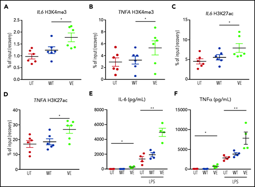 Transduction of primary human monocytes with BRAFV600E induces epigenetic changes in TI and enhances cytokine production. ChIP polymerase chain reaction showing the percentage of H3K4me3 at promoters and the percentage of H3K27Ac at distal enhancers of genes encoding cytokines: H3K4me3 on IL6 (A); H3K27Ac on IL6 (C); H3K4me3 on TNFA (B); and H3K27Ac on TNFA (D). Monocytes were cultured in 3 different conditions: nontransduced (UT, isolated primary monocytes), transduced with wtBRAF (WT), and transduced with BRAFV600E (VE). Data are the mean ± SEM (n = 6). *P < .05, 1-way analysis of variance. (E-F) Cytokine production by macrophages at baseline and after stimulation with LPS: IL-6 (E); TNFα (F). Data are the mean ± SEM (n = 4); biological duplicates were performed for each condition. *P < .05; **P < .01, Student t test. ChIP, chromatin immunoprecipitation.