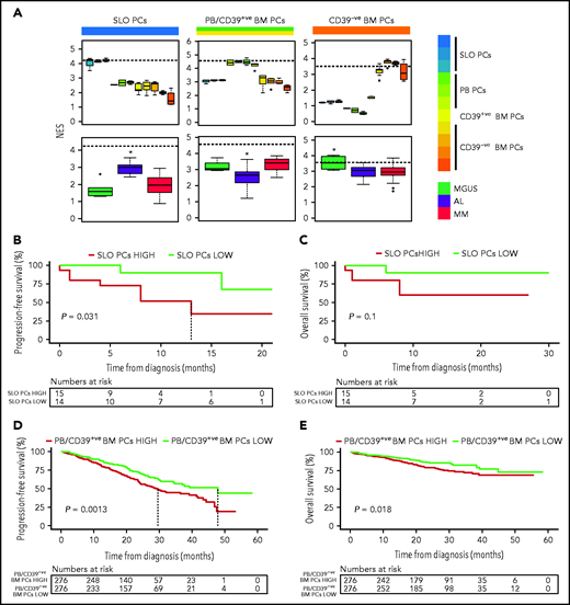 Impact of tumor gene expression in the survival of patients with AL and MM according to the resemblance with normal PC counterparts. (A) NES values based on the transcriptional profile of SLOs (ie, tonsils, SLO), PB, CD39+ (CD39+ve), and CD39− (CD39-ve) BM normal PCs, measured in these as well as in tumor PCs from patients with AL (n = 32), MGUS (n = 6), and MM (n = 32). The dashed line marks the median NES of the corresponding normal PC subset. *P < .05. (B-C) Progression-free and overall survival of patients with AL (n = 29) according to low vs high NES values corresponding to normal SLO-PCs (red, NES value above the median; green, NES values below the median). (D-E) Progression-free and overall survival of patients with MM (n = 552) according to low vs high NES values corresponding to normal PB-PCs and CD39+ BM-PCs (red, NES values above the median; green, NES values below the median).