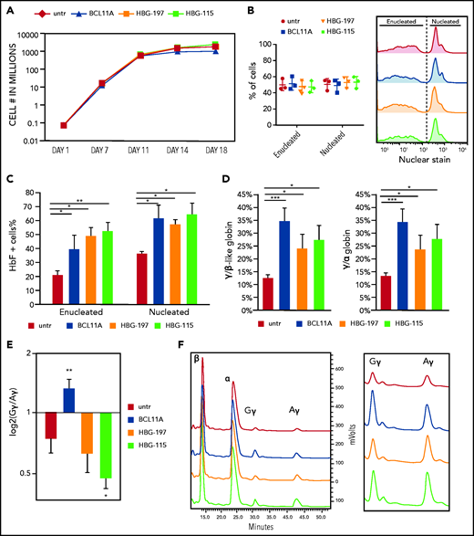 Direct comparison of the 3 RNPs on their effect on erythropoiesis and HbF reactivation. (A) Cell growth over time during in vitro erythroid differentiation. (B) Enucleation of the erythroid cells on day 18 of the differentiation. (C) HbF+ cell frequency as assayed by flow cytometry. (D) HPLC analysis of γ-globin chain expression presented as ratio over the β-like globins and α-globin chain. (E) Ratio of Gγ/Aγ chains postediting with the 3 nucleases. (F) HPLC tracks depicting the difference in Gγ/Aγ balance between the different samples. All plots represent data from at least 4 different CD34+ cell donors. Values are represented as means ± SEM. ***P ≤ .0001, **P ≤ .001, *P ≤ .05 vs untreated (untr) (unpaired Student t test).