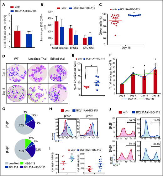 Multiplex mutagenesis in CD34+ cells from patients with β-thalassemia major. (A) Frequency of CD34+/CD38−/CD90+ cells 2 days post–Ad-dualCRISPR transduction. (B) Number of total, erythroid (BFU-E), and myeloid (CFU-GM) colonies per 2000 CD34+ cells. (C) Percentage of erythroid cells (GlyA+) at the end point of in vitro differentiation. (D) Morphology of unedited normal (wt), unedited thalassemic, and edited thalassemic cells on days 11 and 18 of the differentiation. Green arrows point to late-stage maturing erythroid cells . Hematoxylin & eosin stain; original magnification ×40. (E) Percentage of enucleated RBCs at the end of differentiation. (F) Indel percentage at different time points during differentiation. (G) Composition of the thalassemic progenitor cells (CFCs) in terms of single BCL11A (solid blue), single HBG-115 (solid green), or double BCL11A+HBG-115 (striped) mutations. Unedited colonies are represented with gray. (H) HbF expression in enucleated and nucleated cells. (I) ROS levels of edited and unedited thalassemic cells on day 14 of the differentiation. (J) Representative FACS plots of ROS expression in thalassemic erythroid cells before and after dual editing. Values are represented as means ± SEM. **P ≤ .001, *P ≤ .05 vs untreated (C,E,I) or day 3 (F) (unpaired Student t test).