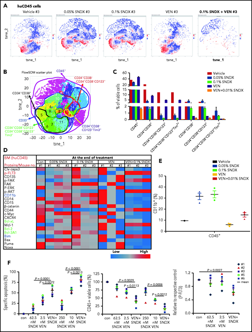 Menin and Bcl-2 inhibition targets leukemia and stem/progenitor cells, modulates Bcl-2 protein levels in BM cells, and exhibits enhanced antileukemia activity in primary AML patient samples. Cell populations were PhenoGraph clustered based on cell surface markers. Cisplatin-low viable single cells were gated with FlowJo software v10.7 and exported as flow cytometry standard data for subsequent analysis in Cytofkit.25 Cell populations identified and embedded by PhenoGraph in the “Cytofkit_analyzedFCS” files were gated in FlowJo to quantify marker expression. ArcSinh-transformed counts for each protein expression in desired cell populations were visualized using heat maps. (A) huCD45+ cells in various treatment groups. (B) Clusters of leukemia cells and leukemia stem/progenitor cells. (C) Percentage of viable leukemia cells and leukemia stem/progenitor cells in each treatment group. (D) Protein expression in huCD45+ cells in various treatment groups. (E) Percentage of huCD11b+CD45+ cells in each treatment group. (F) Mononuclear cells from NPM1/FLT3-mutant AML patient samples (n = 5) were treated with SNDX-50469, venetoclax, or both for 24 hours. Apoptosis, cell viability, and p-FLT3 levels were determined by flow cytometry. Samples were obtained after acquiring written informed consent following the MD Anderson Cancer Center Institutional Review Board–approved protocol and in accordance with the Declaration of Helsinki. Differences between groups were determined using the Student t test. Values of P ≤.05 were considered statistically significant. con/CON, control; SNDX, SNDX-50469; VEN, venetoclax.