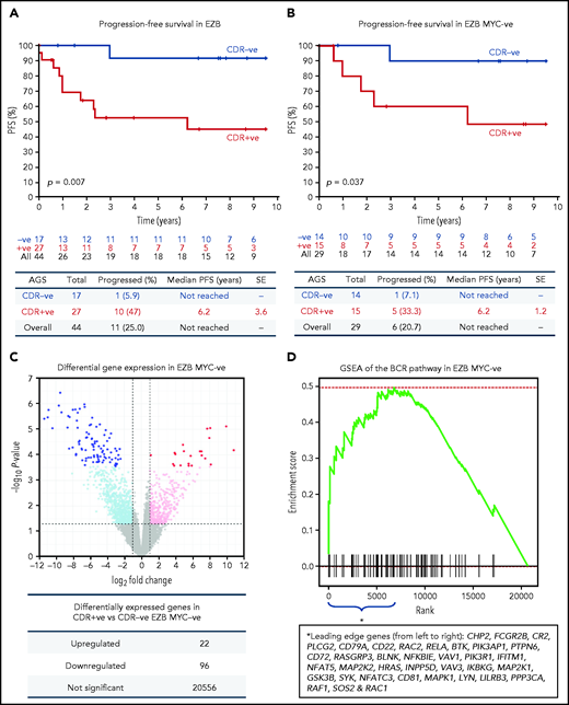 Progression-free survival and gene expression profile of EZB lymphomas acquiring N-glycosylation sites in the CDR. (A-B) Progression-free survival (PFS) was determined by the Kaplan-Meier method using log-rank statistics. The number of patients at risk is indicated in blue (CDR–) or in red (CDR+) at each time point (years). (A) PFS in EZB GCB-DLBCL with N-glycosylation sites acquired in the CDR of the tumor Ig (CDR+) or not (CDR–). (B) PFS in CDR+ and CDR– EZB GCB-DLBCL without MYC translocation (EZB MYC–). (C-D) Differential gene expression and BCR gene set enrichment in CDR+ compared with CDR– EZB MYC– DLBCL. (C) Each point represents a gene and the fold change and P value for differential expression in CDR+ vs CDR– EZB MYC– DLBCL. CDR+ had higher expression of positive log2 fold changes, and CDR– had higher expression of negative log2 fold changes. Gray points were not differentially expressed genes. Light blue and magenta points were differentially expressed at P = .05, whereas blue and red points were differentially expressed at false discovery rate of 0.05 after controlling for multiple testing (Benjamini-Hochberg procedure). (D) Gene set enrichment analysis (GSEA) plot showing the enrichment of BCR signaling pathway genes in the log2 fold change ranked genes for CDR+ vs CDR–. Enrichment of the BCR pathway toward the beginning of the ranked list indicated that the BCR pathway was enriched in genes more highly expressed in CDR+ than in CDR– EZB MYC–. Leading-edge genes (ie, those observed on the left edge of the green curve) in the BCR pathway are listed in the same order as they appear on the x-axis.