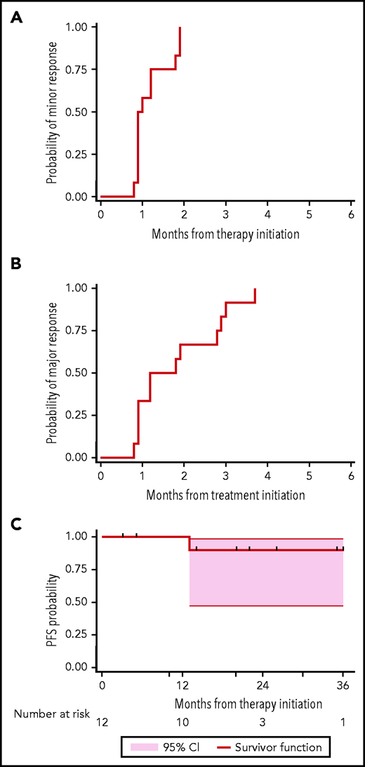Response and progression curves for 12 evaluable patients with WM following ulocuplumab and ibrutinib. Time to minor (A), major (B), and progression (C) are depicted. All patients were alive at end of study follow-up.