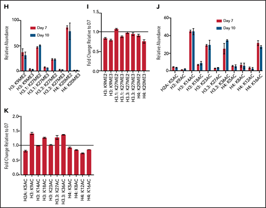 Terminal erythroid maturation is associated with loss of histone PTM associated with active transcriptional elongation. (A) Schematic demonstrating CD36 erythroid synchronization culture system. CD34-positive cells are expanded for 7 days before CD36 selection. CD36-positive cells are cultured for an additional 11 days allowing for terminal erythroid maturation. (B) Cytospins of cells at day 7 and day 10 of terminal erythroid maturation. (C) Heat map of changes in histone abundance during terminal erythroid maturation as determined by mass spectrometry. Values represent log2 fold change of day 10 compared with day 7 of terminal erythroid maturation. (D) Abundance of histone modifications associated with active transcription by RNA polymerase II on day 7 and day 10 of terminal maturation. (E) Fold change of transcription related histone marks at day 10 relative to day 7. (F) Abundance of histone methylation PTM at day 7 and day 10 of terminal maturation. Only histone PTM present at greater than 1% abundance are shown. (G) Fold change of histone methylation at day 10 relative to day 7. (H) Abundance of histone PTMs associated with heterochromatin at day 7 and day 10 of terminal maturation. Only histone PTMs with an abundance greater than 1% are shown. (I) Fold change of heterochromatin-associated PTMs at day 10 relative to day 7. (J) Abundance of histone acetylation at day 7 and day 10 of terminal maturation. Only histone PTMs with an abundance greater than 1% are shown. (K) Fold change of histone acetylation marks at day 10 relative to day 7. The data in this figure represent 2 biologic and 6 technical replicates. Error bars represent standard error of the mean.