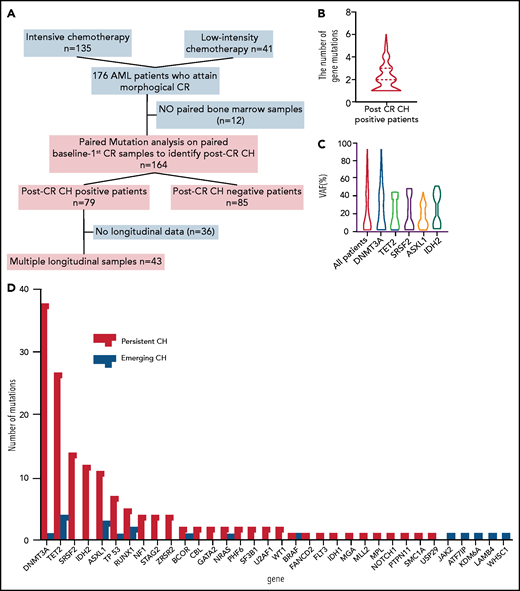 Characteristics, dynamics, and clinical significance of postremission CH in AML. (A) CONSORT diagram for the study cohort. (B) Violin plot showing the distribution of the number of gene mutations detected as post-CR CH. (C) Violin plots showing VAFs of post-CR CH mutations in all patients and based on the mutated genes. (D) Bar graph showing the number of mutations detected as persistent preleukemic CH (red bar) or emerging CH (blue bar). (E) Box plots comparing the age of patients with or without post-CR CH (*P < .001). (F-G) Representative cases with clonal dynamics of persistent preleukemic CH (F), emerging CH (G), and post-CR CH cleared by allo-SCT (H). (I) The summary of the clonal trajectories of post-CR CH in the 43 patients in whom we were able to track the long-term clonal dynamics. (J-K) The long-term trend of peripheral blood counts in patients with (red line) and without post-CR CH (black line). Patients with post-CR CH had significantly lower absolute neutrophil counts (ANC) and platelets (PLT) at the beginning (day 0 corresponds to the first attainment of CR), but later the difference became insignificant. *P < .001. (L) Cumulative incidence of relapse in post-CR CH-patients (black line) and in post-CR CH+ patients (red line). (M) Nonrelapse mortality in post-CR CH−patients (black line) and in post-CR CH+ patients (red line). Data were censored at the time of allo-SCT in first CR. BM, bone marrow; CLIA, cladribine, idarubicin, and cytarabine; FAI, fludarabine, idarubicin, and cytarabine.