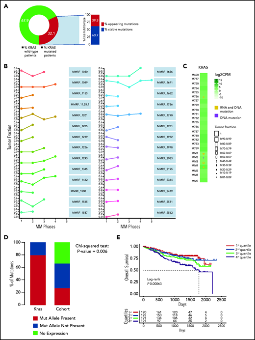 Persistence or de novo occurrence of the KRAS aberration at myeloma relapse and prognostic impact of KRAS in MM. (A) Pie chart of KRAS mutation dynamics in MM patients (n = 27) with serial sampling of relapsed phases. Distribution of KRAS mutations as either appearing mutations or stable. (B) Plot of KRAS tumor fraction trend. Each plot represents a patient. The x-axis shows the stage of sampling (1 = diagnosis and 2-5 = relapse). The y-axis represents the tumor fraction. (C) Heatmap showing KRAS expression levels in relapsed/refractory (RR) MM patients (green). Yellow and purple squares represent the presence or absence, respectively, of expression of the mutation in RNA, and the square size is proportional to its tumor fraction in DNA. (D) Stacked bar chart showing, for KRAS (left) and all other mutations in the RR MM cohort (right), the proportion of mutations that are expressed (green) and not expressed in the presence of gene expression (yellow) and how many genes are not expressed altogether (blue). (E) Kaplan-Meier curves showing the prognostic impact of KRAS in term of OS using the CoMMpass data set. The log-rank test was used to compute P value. First through fourth quartiles are represented in blue, green, red, and dark yellow, respectively. (F) Gene network plot representing pathways significantly upregulated in the fourth KRAS expression quartile compared with the first. Brown dots represent the pathway, with diameter proportional to the size; small dots represent the genes, with each color coded based on its fold change.