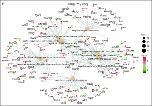 Persistence or de novo occurrence of the KRAS aberration at myeloma relapse and prognostic impact of KRAS in MM. (A) Pie chart of KRAS mutation dynamics in MM patients (n = 27) with serial sampling of relapsed phases. Distribution of KRAS mutations as either appearing mutations or stable. (B) Plot of KRAS tumor fraction trend. Each plot represents a patient. The x-axis shows the stage of sampling (1 = diagnosis and 2-5 = relapse). The y-axis represents the tumor fraction. (C) Heatmap showing KRAS expression levels in relapsed/refractory (RR) MM patients (green). Yellow and purple squares represent the presence or absence, respectively, of expression of the mutation in RNA, and the square size is proportional to its tumor fraction in DNA. (D) Stacked bar chart showing, for KRAS (left) and all other mutations in the RR MM cohort (right), the proportion of mutations that are expressed (green) and not expressed in the presence of gene expression (yellow) and how many genes are not expressed altogether (blue). (E) Kaplan-Meier curves showing the prognostic impact of KRAS in term of OS using the CoMMpass data set. The log-rank test was used to compute P value. First through fourth quartiles are represented in blue, green, red, and dark yellow, respectively. (F) Gene network plot representing pathways significantly upregulated in the fourth KRAS expression quartile compared with the first. Brown dots represent the pathway, with diameter proportional to the size; small dots represent the genes, with each color coded based on its fold change.