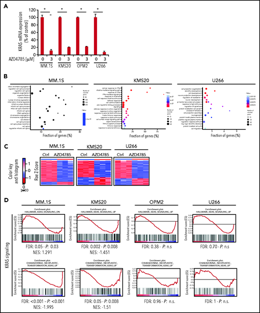 AZD4785-dependent modulation of transcriptome of MM cells. (A) Normalized expression levels of KRAS transcript from clariom D profiling in MM.1S, MKS20, OP12, and U266 cell lines after 48 hours of AZD4785 exposure (3 μM), as compared with control (ctrl; q value 0 from SAM analysis); percentage of ctrl of AZD4785-treated vs untreated is shown. (B) Plot of the 20 most significant gene ontology biological process terms enriched in MM1S, KMS20, and U266 differentially expressed (DE) protein coding gene lists. (C) Heatmaps of DE transcripts in AZD4785-treated (3 μM; 48 hours) vs ctrl replicates in MM1S, KMS20, and U266 cell lines by SAM analysis (q = 0; absolute FC value > 2), respectively. Blue-red color scale was used to set rows with mean of 0 and standard deviation 1 of 1. Of note, OPM2 cells only presented with DE KRAS level; no other DE transcripts were observed. (D) MM.1S, KMS20, OPM2, and U266 cells were exposed to AZD4785 (0-3 μM) for 48 hours and subjected to wide transcriptome profiling, showing significant inhibition of KRAS-related gene sets in KRAS-mutated cells, as assessed by gene set enrichment analysis. Normalized enrichment score (NES) was generated by comparing AZD4785-treated vs untreated cells. NES, nominal P value, and false discovery rate (FDR) q value are reported for each plot. *P < .001. IFN-γ, interferon γ; n.s., not significant.