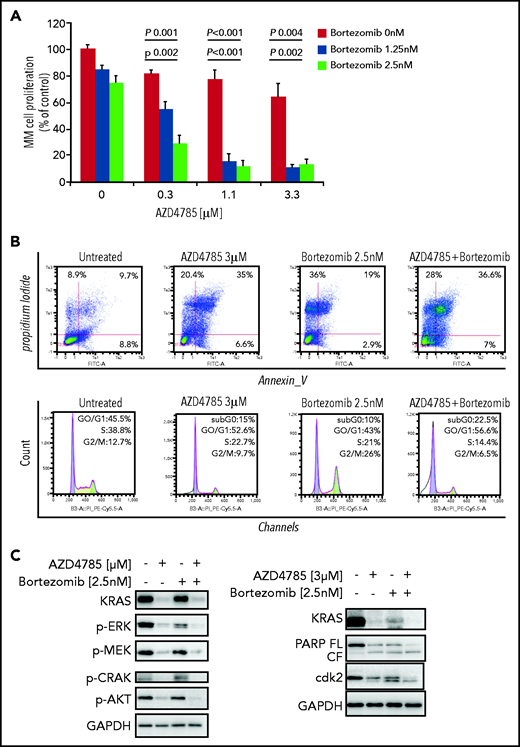 AZD4785 potentiates bortezomib-induced anti-MM activity. MM.1S cells were treated with AZD4785 (0.3-3 μM) or bortezomib (1.25-2.5 nM) as a single agent or in combination. Modulation of cell proliferation at 72 hours (A) and apoptosis and cell cycle progression at 48 hours (B) was tested on MM cells using MTS, annexin V/proteasome inhibitor (PI), and PI staining, respectively. Average of triplicate experiments ± standard deviation is shown. (C) MM cells were treated with AZD4785 (3 μM) for 48 hours in the presence or absence of bortezomib (2.5 nM) added for the last 24 hours of treatment; cell lysates were subjected to western blot using anti-KRAS, –p-ERK, –p-MEK, –p-CRAF, –p-AKT, -PARP, -cdk2, and –glyceraldehyde-3-phosphate dehydrogenase (GAPDH) antibodies. (D) MM cells were treated with either AZD4785 (3 μM) for 48 hours in the presence or absence of bortezomib (2.5 nM) for the last 24 hours of treatment and subjected to cytofluorimetric analysis of mtROS production (Mitosox). (E) MM cells were treated with AZD4785 (3 μM) for 48 hours in the presence of absence of bortezomib (2.5 nM) for the last 4 hours of treatment and then exposed tumor necrosis factor-α (TNF-α; 10 ng/mL) for the last 20 minutes. Nuclear lysates were extracted and subjected to evaluation of p65/NF-κB activation.
