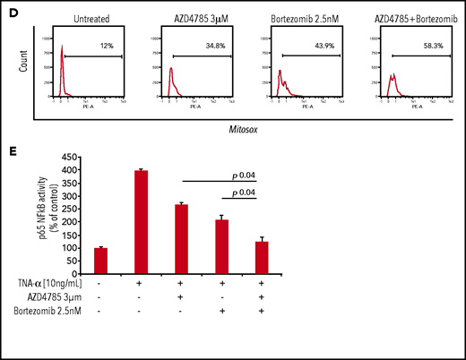 AZD4785 potentiates bortezomib-induced anti-MM activity. MM.1S cells were treated with AZD4785 (0.3-3 μM) or bortezomib (1.25-2.5 nM) as a single agent or in combination. Modulation of cell proliferation at 72 hours (A) and apoptosis and cell cycle progression at 48 hours (B) was tested on MM cells using MTS, annexin V/proteasome inhibitor (PI), and PI staining, respectively. Average of triplicate experiments ± standard deviation is shown. (C) MM cells were treated with AZD4785 (3 μM) for 48 hours in the presence or absence of bortezomib (2.5 nM) added for the last 24 hours of treatment; cell lysates were subjected to western blot using anti-KRAS, –p-ERK, –p-MEK, –p-CRAF, –p-AKT, -PARP, -cdk2, and –glyceraldehyde-3-phosphate dehydrogenase (GAPDH) antibodies. (D) MM cells were treated with either AZD4785 (3 μM) for 48 hours in the presence or absence of bortezomib (2.5 nM) for the last 24 hours of treatment and subjected to cytofluorimetric analysis of mtROS production (Mitosox). (E) MM cells were treated with AZD4785 (3 μM) for 48 hours in the presence of absence of bortezomib (2.5 nM) for the last 4 hours of treatment and then exposed tumor necrosis factor-α (TNF-α; 10 ng/mL) for the last 20 minutes. Nuclear lysates were extracted and subjected to evaluation of p65/NF-κB activation.