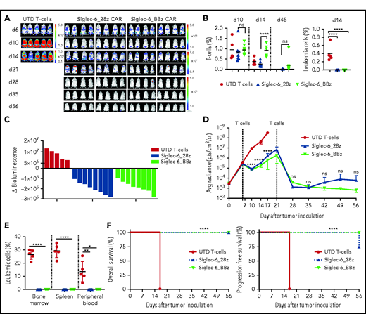 Siglec-6 CAR T cells confer potent antileukemia activity in a xenograft model of AML in vivo. Female NSG mice were inoculated with 2 × 106 U937 AML cells (FLUC+GFP+), and on days 6 and 21, they were treated with 5 × 106 CAR-modified or UTD T cells. T cells were formulated in a 1:1 CD4+:CD8+ ratio. (A) Serial BLI to assess leukemia progression and/or regression. Note the scale indicating upper and lower BLI thresholds at each analysis time point (right). (B) Flow cytometric analysis of peripheral blood on days 10, 14, and 45 to detect T cells and leukemia cells. Human T cells in mouse peripheral blood were defined as 7-AAD–CD45+CD3+ cells. Leukemia cells were defined as 7-AAD–CD45+GFP+ cells. (C) Waterfall plot showing change in absolute BLI values between days 6 and 10 after tumor inoculation. (D) BLI values from each treatment group showing tumor progression and regression. BLI values in panels C and D were obtained as photons per second per cm2per sr (p/s/cm2/sr) in regions of interest encompassing the entire body of each mouse. (E) Percentage of leukemic cells detected in bone marrow, spleen, and peripheral blood by flow cytometry at the end of the experiment. NB: Leukemia cells (%) values show data obtained at different time points. Mice from UTD T-cell treatment group were analyzed on day 17, and mice from the Siglec-6 CAR T-cell treatment group were analyzed on day 56. (F) Kaplan-Meier survival analysis for overall survival (left) and progression free survival (right) from different treatment groups. Data shown are representative of results obtained in independent experiments with Siglec-6 CAR T-cell from 2 donors. Mantel-Cox log-rank test ****P < .0001. *P < .05; **P < .01; ****P < .0001, Student t test (B,D-E). Avg, average; d6, day 6.
