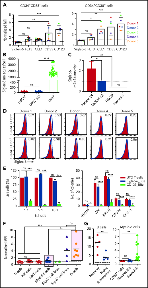 Normal HSPCs are not recognized by Siglec-6 CAR T cells. (A) Flow cytometric analysis of cell surface expression of different CAR target antigens on CD34+CD38– hematopoietic stem cells (HSCs) (left) and CD34+CD38+ hematopoietic progenitor cells (HPCs) (right) from 5 healthy donors. Bar diagrams show NMFI ± standard deviation (SD). Two-way analysis of variance (ANOVA) *P < .05; **P < .01;***P < .001. (B) Quantification of Siglec-6 expression on HSPCs by dSTORM super-resolution microscopy. U937 cells and Siglec-6–negative U937 knockout (KO) cells were used for comparison. Each data point represents a cell. (C) Real-time qPCR was used to assess Siglec-6 mRNA transcripts in CD34+CD38– HSCs and CD34+CD38+ HPCs. Data are normalized to MOLM-13 Siglec-6 mRNA transcripts. AML blasts from patient 24 were included in the analysis as a positive control (supplemental Figure 6). (D) Flow cytometric analysis of Siglec-6 expression on granulocyte colony-stimulating factor–mobilized CD34+CD38– HSCs and CD34+CD38+ HPCs from peripheral blood of 5 healthy donors. Inset numbers indicate the NMFI. (E) Left: percentage of live (7-AAD negative) HSCs after 24-hour coincubation with CD8+ Siglec-6_BBz CAR, CD123_BBz CAR, or UTD T cells. The assay was performed in triplicate wells with 5000 target cells per well. Counting beads were used to quantify the number of residual live HSPCs at the end of co-culture. Data are from 3 independent experiments. Right: colony formation assay was performed with residual live HSPCs after 24 hours of co-incubation with CD8+ Siglec-6_BBz CAR, CD123_BBz CAR, or UTD T cells. Graphs show the absolute number of colonies (mean ± SD) per 55-mm plate as determined by microscopy on day 14 from 3 independent experiments. (F) Flow cytometric analysis of Siglec-6 expression on healthy donor peripheral blood mononuclear cells. Siglec-6 expression by B cells (CD45+CD19+), myeloid cells (CD45+CD33+), T cells (CD45+CD3+CD56–), NK cells (CD45+CD56+CD3–), and NK T cells (CD45+CD3+CD56+) in 7 healthy donors. Siglec-6 expression by Siglec-6–positive (U937, TF-1, MV4;11, and MOLM-13) and Siglec-6–negative (K562, Kasumi-1) cell lines are plotted for reference. (G) Flow cytometric analysis of Siglec-6 expression on healthy B cells, CD33+ myeloid cells, neutrophils (CD33+CD15+CD16+), and basophils (CD33+CD123+HLA-DR–). *P < .05; **P < .01; ***P < .001; ****P < .0001, Student t test. BFU-E, burst-forming unit erythroid; CFU-G, colony-forming unit granulocyte; CFU-M, colony-forming unit macrophage; GEMM, granulocyte, erythrocyte, monocyte, megakaryocyte; GM, granulocyte-macrophage.