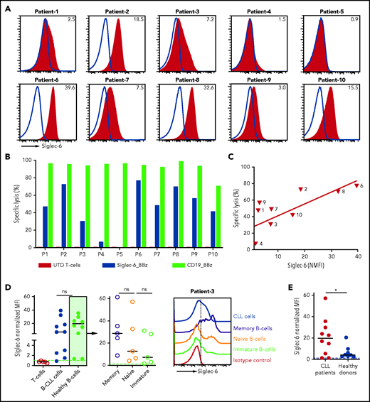 Siglec-6 CAR T cells recognize malignant B cells in B-CLL. (A) Flow cytometric analysis of Siglec-6 expression on B-CLL cells from 10 patients. Histograms show staining with anti-Siglec-6 mAb (red) and isotype control antibody (blue). Inset numbers indicate the NMFI. (B) Cytolytic activity of CD8+ Siglec-6_BBz CAR, CD19_BBz CAR, and UTD T cells against B-CLL cells in a flow cytometry-based assay. Target cells were seeded in triplicate wells (10 000 cells per well) and were cocultured with effector cells at a 5:1 E:T ratio. Counting beads were used to quantify the number of residual live target cells after 4 hours of coculture (P1, patient 1). (C) Correlation between B-CLL–specific cell lysis by CD8+ Siglec-6_BBz CAR T cells (after 4 hours of coculture, 5:1 E:T ratio) and Siglec-6 expression on primary B-CLL cells. Simple linear correlation was calculated (R2 = 0.54; P = .01). (D) Flow cytometric analysis of Siglec-6 expression on healthy B cells (CD45+CD19+CD5–CD20high) from patients with CLL. Left: pooled data on Siglec-6 expression on B-CLL cells from 10 patients and on healthy B-cell subsets from 5 of 10 patients with CLL. The remaining 5 patients did not have enough healthy B cells in the peripheral blood for subset analysis. Right: a representative histogram from patient 3, which shows Siglec-6 expression on healthy immature (CD45+CD19+CD5–CD20highCD10+), naïve (CD45+CD19+CD5–CD20highCD10–CD27–), and memory (CD45+CD19+CD5–CD20highCD10–CD27+) B cells compared with B-CLL cells. (E) Siglec-6 expression on healthy B cells from patients with CLL and healthy donors. *P < .05, Student t test.
