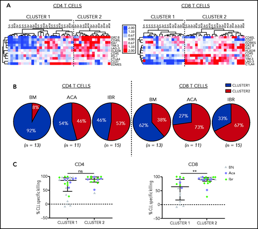 CD19/CD3 bsAb induced T-cell activation and cytotoxic effector functions. PBMCs from BTKi-naïve (BN, n = 13) and BTKi-treated (BTKi, n = 26) patients were cultured with either CD19/CD3 bsAb, or medium only. Markers of T-cell activation and cytotoxic potential were assessed by flow cytometry in CD4+ and CD8+ T cells. (A) Fold changes in the frequencies of T cells expressing the respective markers after 3 days of in vitro culture with CD19/CD3 vs medium alone were log2 transformed, median-centered, and samples grouped by complete clustering. Heatmap depicts the fold changes on a log2 scale for BN, ibrutinib (Ibr), and acalabrutinib (Aca) patient samples. (B) Pie charts show the proportion of patient samples in cluster 1 (blue) or cluster 2 (red) within BN (n = 13), Aca (n = 11), and Ibr (n = 15) groups. (C) Comparison of CLL-specific killing after 5 days of treatment between cluster 1 and cluster 2 based on CD4+ and CD8+ T-cell activation, respectively. Each dot represents 1 patient sample; BN (gray triangles), Aca (purple circles), and Ibr (green diamonds). Results are reported as median and IQR. Asterisks indicate statistical significance using Mann-Whitney U tests. **P < .01.