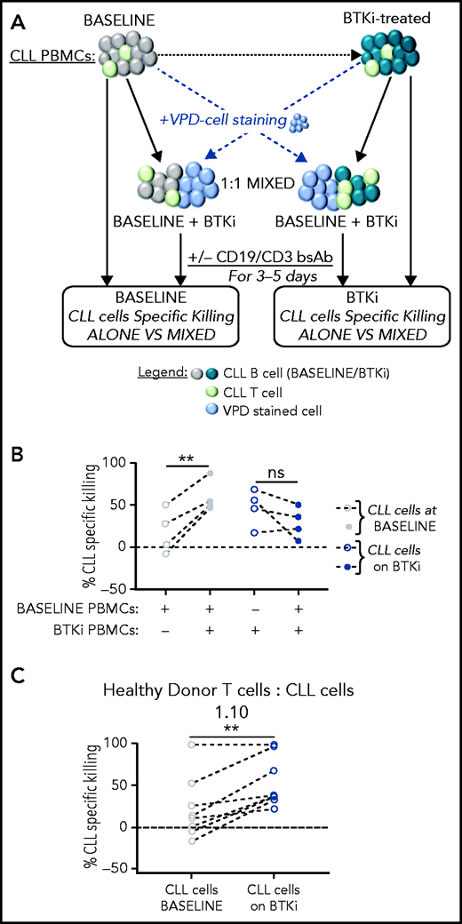 Treatment of CLL patients with BTKi enhances the cytotoxic effector function of autologous and allogeneic T cells in response to CD19/CD3 bsAb. (A) Tumor cell killing in response to the CD19/CD3 bsAb was tested in PBMCs obtained from the same CLL patients before starting therapy (baseline), and again on BTKi therapy (BTKi) mixed at a 1:1 ratio. VPD staining was used to identify the source of the sample in the mixing experiments. CLL cell killing was assessed in the VPD-negative population. (B) CLL-specific killing after culture with CD19/CD3 bsAb; tested were PBMC samples from 4 patients obtained at baseline (gray circles), on BTKi therapy (blue circles) tested were PBMC samples were alone (dotted circles) or mixed containing 50% baseline and 50% BTKi-treated PBMCs (plain circles). Each dot represents 1 patient; lines connect samples obtained from the same patient. (C) To test whether CLL cells affect normal T-cell function, we mixed PBMCs from a healthy donor with CLL cells purified from baseline samples (gray circles) or during BTKi therapy (blue circles) at 1:10 T cells:CLL cell ratios (n = 8). CLL-specific killing after 3 days of culture with the CD19/CD3 bsAb is shown. Each dot represents 1 patient; lines connect samples obtained from the same patient. Statistical significance by Wilcoxon matched-pair signed-rank test. **P < .01.