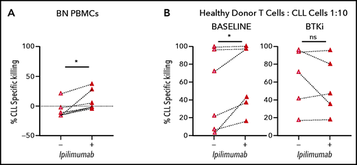 BTKi therapy and CTLA-4 blockade by ipilimumab enhance the cytotoxic effector function of autologous and allogeneic T cells in response to CD19/CD3 bsAb. (A) CLL PBMCS from BTKi-naïve (BN, n = 6) patients were cultured with CD19/CD3 bsAb with or without the addition of ipilimumab (50 μg/mL). Depicted is the specific killing of CLL cells after 3 days of culture. (B) Purified CLL cells obtained from the same CLL patients before starting therapy (baseline) and after at least 6 months on BTKi therapy (BTKi) (n = 6), were incubated with or without ipilimumab for 24 hours before coculture with CD19/CD3 bsAb and healthy donor allogeneic T cells, at a 1:10 E:T ratio. Depicted is the specific killing of CLL cells after 3 days of culture. Results are reported as median and IQR. Statistical significance by Wilcoxon matched-pair signed-rank test. *P < .05.