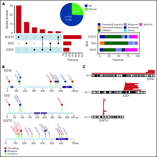 Incidence of PRC2 alterations in the GRAALL-2003-2005 studies. (A) The Upset plot indicates the incidence of events observed for each PRC2 gene and the different cooccurrences. The right panel indicates the type of genetic alterations and their frequencies. (B) Lollipop plots indicating the observed mutations for each PRC2 gene and their consequences. (C) The red bars map the observed chromosomal deletions involving the PRC2 genes in the GRAALL-2003-2005 studies.