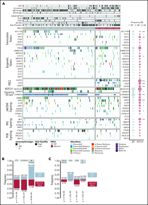 The oncogenetic landscape of PRC2-altered T-ALL. (A) Oncoplot depicting the genetic anomalies observed in PCR2 WT or altered T-ALL cases of the GRAALL-2003-2005 studies. For each case, their immunophenotype, the presence of defining alteration, and their relapse risk classifier are indicated. The ETP classification is separate from the other immunophenotypes; therefore, some T-ALL cases are both considered as ETP and immature or αβ in the analyses. Genes are classified by functional groups. The right panel indicates the overall frequency of alterations per gene in PRC2 WT or ALT patients. Statistical differences were compared by Fisher tests. (B) Bar graphs showing the significant association between PRC2 status and the maturation arrest stage. Annotations indicate the incidence of each maturation arrest stage among the entire cohort. The γδ stage is omitted because no significant difference is observed in this subgroup. PRC2 WT ETP cases are also considered as immature for 13/135 and αβ for 2/135 cases. For the PRC2-altered, ETP cases count as immature in 18/50 and αβ in 2/50. (C) Bar graphs displaying significant association between PRC2 status and the defining T-ALL genetic events. Annotations indicate the incidence of each event among the entire cohort. The exact P values from Fisher’s tests are indicated.