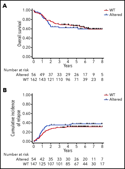 Clinical impact of PRC2 alterations in the GRAALL-2003-2005 studies. (A) Overall survival and (B) cumulative incidence of relapse in the GRAALL-2003-2005 studies. Red curves represent the PRC2-altered T-ALL, and blue curves the WT patients.