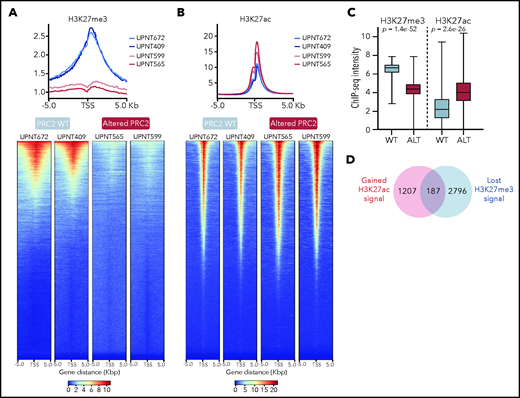 PRC2 loss of function reshapes the epigenetic landscape of T-ALL. (A) Distribution of H3K27me3 signal in 5-kb regions around the TSS (top); heatmap representing the same distribution (bottom). (B) Distribution of H3K27ac signal in 5-kb regions around the TSS (top); heatmap representing the same distribution (bottom). (C) Global H3K27me3 and H3K27ac ChIP-seq intensities in PRC2 WT or PRC2 ALT primary T-ALL samples. (D) Venn diagram illustrating the overlap between genes with significantly gained H3K27ac and reduced H3K27me3 signal at their promoter in PRC2 ALT T-ALL samples. (E) Bubble plot indicating the enrichment in transcription factors and regulators signatures among the 187-gene set from panel E. (F) Log2 fold change in occupancy of H3K27ac at 86 453 individual consensus peaks in T-ALL. The peaks are ranked in order of increasing log2 fold change. (G) Global H3K27me3 and H3K27ac ChIP-seq intensities in PRC2 WT primary T-ALL samples upon control or GSK343 3 µM treatment. (H) Venn diagram illustrating the overlap between genes with significantly enriched H3K27ac signal in PRC2 ALT T-ALL and genes significantly gaining H3K27ac signal in PRC2 WT T-ALL upon GSK343. (I) Bar plot indicating the enrichment in transcription factors signatures among the 150-gene set from panel H.