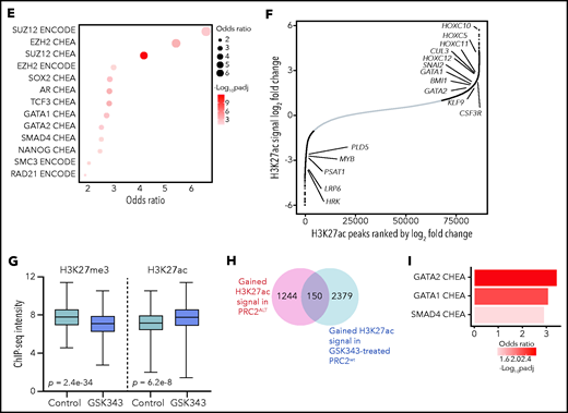 PRC2 loss of function reshapes the epigenetic landscape of T-ALL. (A) Distribution of H3K27me3 signal in 5-kb regions around the TSS (top); heatmap representing the same distribution (bottom). (B) Distribution of H3K27ac signal in 5-kb regions around the TSS (top); heatmap representing the same distribution (bottom). (C) Global H3K27me3 and H3K27ac ChIP-seq intensities in PRC2 WT or PRC2 ALT primary T-ALL samples. (D) Venn diagram illustrating the overlap between genes with significantly gained H3K27ac and reduced H3K27me3 signal at their promoter in PRC2 ALT T-ALL samples. (E) Bubble plot indicating the enrichment in transcription factors and regulators signatures among the 187-gene set from panel E. (F) Log2 fold change in occupancy of H3K27ac at 86 453 individual consensus peaks in T-ALL. The peaks are ranked in order of increasing log2 fold change. (G) Global H3K27me3 and H3K27ac ChIP-seq intensities in PRC2 WT primary T-ALL samples upon control or GSK343 3 µM treatment. (H) Venn diagram illustrating the overlap between genes with significantly enriched H3K27ac signal in PRC2 ALT T-ALL and genes significantly gaining H3K27ac signal in PRC2 WT T-ALL upon GSK343. (I) Bar plot indicating the enrichment in transcription factors signatures among the 150-gene set from panel H.