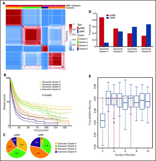 Novel genomic clusters (GCs) of AML identified by unsupervised analyses. (A) Consensus matrix generated by applying latent class analysis on 1000 subsamples representing the frequency of 2 observations being clustered in the same group. (B) Kaplan-Meier analysis showing the overall survival (OS; in months) of each GC (GC-1 to GC-4). (C) Pie charts showing the percentage of cases belonging to each GC (GC-1 to GC-4) in pAML (left) and sAML (right). (D) Bar graph showing the frequency of pAML and sAML in the GCs after normalizing the samples by bootstrapping. (E) Hyperparameter selection plot for RF modeling; cross-validation accuracy (CVA) is shown on the y-axis. CVA saturation in this plot indicates that 3 variables suffice to achieve the maximal accuracy of ∼0.97, (ie, this model correctly assigns prognosis for ∼97% of AML cases in our cohort using their corresponding genomic features).