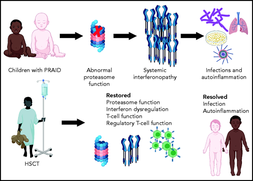 Summary of outcomes of HSCT for children with PRAID. Created using BioRender.