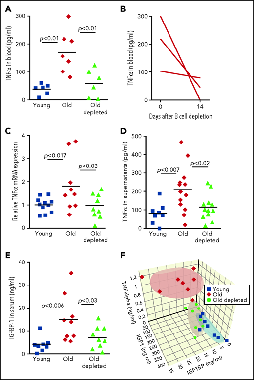 Regulation of IGF-1 by peripheral B cells in aging is mediated by TNF-α through IGFBP-1. (A) Sera collected from the indicated mice were analyzed for TNF-α by ELISA. Shown are results for individual mice and group means (n = 6-7 for each group). (B) Sera were collected from old hCD20Tg mice before and 14 days after B-cell depletion and analyzed for levels of TNF-α by ELISA. Shown are longitudinal results for individual mice (n = 3). (C) Purified splenic B cells from the indicated mice were analyzed for relative expression of TNF-α messenger RNA (mRNA) by quantitative polymerase chain reaction (qPCR) normalized to glyceraldehyde-3-phosphate dehydrogenase (GAPDH). Graph depicts results for individual mice (n = 9-11) and group mean ± SE. (D) Purified splenic B cells from the indicated mice were cultured in vitro for 24 hours. Supernatants were collected and analyzed for TNF-a by ELISA. Shown are results for individual mice and group means (n = 8-13 for each group). (E) Sera collected from the indicated mice were analyzed for IGFBP-1 by ELISA. Shown are results for individual mice and group means (n = 8-9 for each group). (F) Measurements of IGF-1, TNF-α, and IGFBP-1 for individual mice from the indicated groups were plotted in a 3-dimensional chart. Each group is clustered with a color-matched covariance ellipsoid centered around the mean of each group.