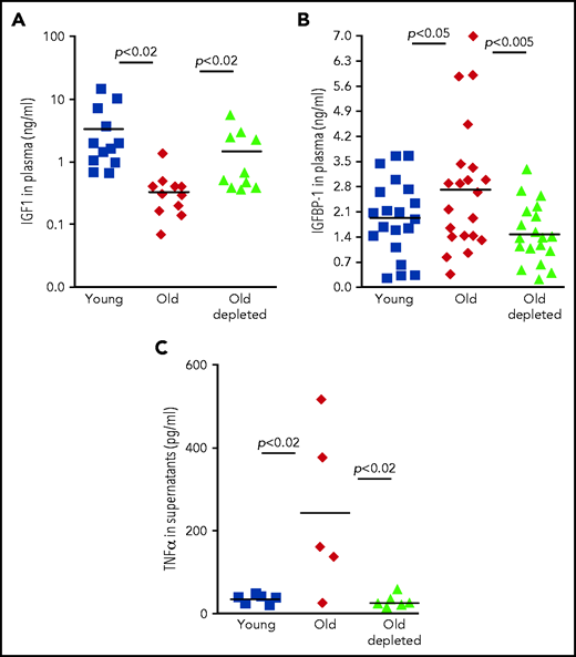 The TNF-α/IGFBP-1/IGF-1 axis in regulating B-cell lymphopoiesis in older humans. (A-B) Plasma samples were collected from healthy young or older humans or older patients with lymphoma treated for B-cell depletion (old depleted) (see the Methodology section of NCT00863187). Plasma samples were analyzed for IGF-1 (A) and IGFBP-1 (B) by ELISA. Shown are results for individual patients and group means (indicated by thick solid horizontal line) (n = 9-18 for each group). (C) Peripheral blood B cells were collected from patients from the indicated human cohorts and cultured in vitro for 24 hours. Supernatants were collected and analyzed for TNF-a by ELISA. Shown are results for individual patients and group means (n = 5-6 for each group).