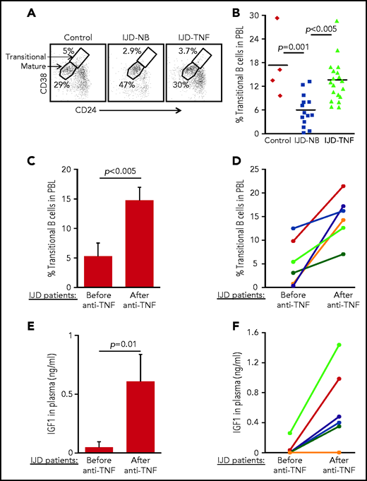 Transitional B cells in patients with IJD treated or not treated with anti–TNF-α. (A-B) Cross-sectional analysis of transitional B cells in healthy controls (n = 4) and patients with IJD treated with TNF-α (IJD-TNF-α, n = 19) or naïve to anti-TNF-α (IJD-NB, n = 14). Blood cells were analyzed by flow cytometry and mature (CD19+/CD24lo/med/CD38lo/med) and transitional (CD19+/CD24hi/CD38hi) B-cell frequency was determined. (A) Representative analysis for a single patient from each group gated on CD19+ cells. Shown are gates for mature and transitional B cells indicated by arrows. (B) Frequency of transitional B cells. Quantity of transitional B cells was calculated as the fraction of transitional B cells divided by the sum of transitional and mature B cells. Shown are results for individual patients and group means. (C-D) Longitudinal analysis of transitional B-cell ratio of patients with IJD undergoing treatment with anti–TNF-α. (C) Transitional B-cell ratio averages in patient subset (n = 6) analyzed upon initiation of anti–TNF-α therapy and again after 3 months of anti–TNF-α therapy. Results are expressed as mean ± SE. (D) Longitudinal analysis for individual patients with IJD transitional B-cell ratios before and after anti–TNF-α therapy. (E-F) Longitudinal analysis of plasma IGF-1 in patients with IJD undergoing anti–TNF-α therapy. (E) Plasma IGF-1 averages in the patient subset (n = 6) analyzed upon initiation of anti–TNF-α therapy and again after 3 months of anti–TNF-α therapy. Results are expressed as mean ± SE. (F) Longitudinal analysis for individual patients with IJD transitional B-cell ratios before and after anti–TNF-α therapy.