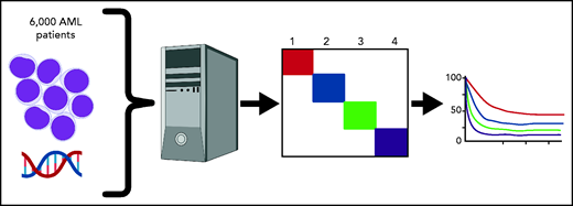 Genomic lesions including somatic mutations and translocations from >6000 AML patients were aggregated. Machine learning identified 4 underlying genomic clusters based on molecular features that were then shown to have differing survival rates, implying underlying differences in biology.