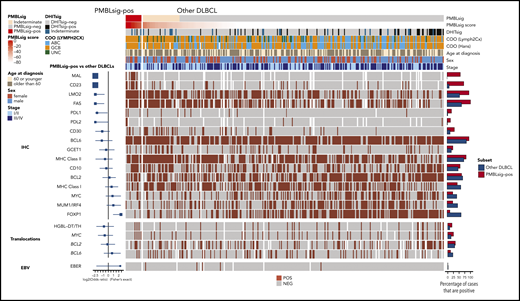 Immunophenotypic characteristics and translocation status of PMBLsig+ tumors and other tumors with DLBCL morphology. Forest plots at the left show enrichment or depletion of positive tumors among the PMBLsig+ group compared with other DLBCLs for each marker/translocation. Bar plots at the right represent the fraction of cases positive for each marker/translocation. ABC, activated B-cell–like; EBV, Epstein-Barr virus; HGBL-DH/TH, high-grade B-cell lymphoma with MYC and BCL2 and/or BCL6 rearrangement; MHC, major histocompatibility complex; UNC, unclassified.