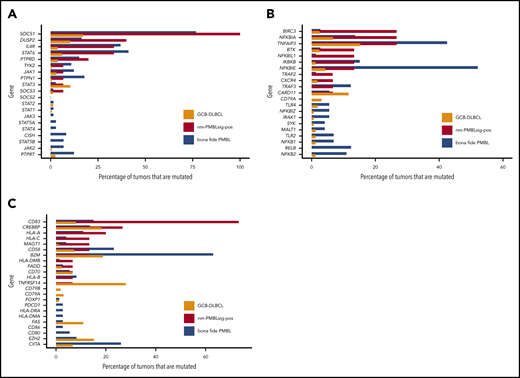 Mutational frequencies affecting genes involved in pathways of interest in GCB DLBCL, nm-PMBLsig+ tumors, and bf-PMBL. (A) JAK-STAT mutations are frequent in both nm-PMBLsig+ tumors and bf-PMBL. Frequencies of mutations affecting genes involved in JAK-STAT signaling are shown for GCB DLBCL, nm-PMBLsig+ tumors, and bf-PMBL. (B) NF-κB signaling mutations are frequent in both nm-PMBLsig+ tumors and bf-PMBL. Frequencies of mutations affecting genes involved in NF-κB signaling are shown for GCB DLBCL, nm-PMBLsig+ tumors, and PMBL. (C) Immune response mutations are common in all 3 subtypes. Frequencies of mutations affecting genes involved in immune response are shown for GCB DLBCL, nm-PMBLsig+ tumors, and bf-PMBL.