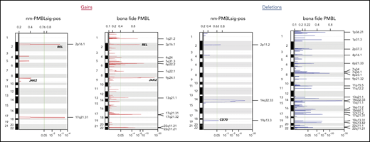 Recurrent CN aberrations in nm-PMBLsig+ tumors and bf-PMBL inferred from WES data. CNs were inferred from WES data using CNVkit; recurrent aberrations were then identified using the GISTIC algorithm (see “Methods”).