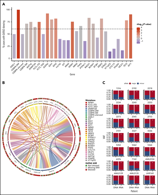 Occurrence of GATA2 ASE in AML subgroups. (A) Bar plot indicating the percentage of cases with GATA2 ASE in each mutational subgroup. The color of the bars indicates the strength of the association as log10 (P value), with a sign determined by the nature of the association. The scale ranges from blue for negative associations to red for positive associations. The dotted horizontal line indicates the percentage of cases with GATA2 ASE in the whole AML cohort. (B) Circos plot indicating the cooccurrence of mutations in AML and GATA2 ASE. (C) Bar plots for each patient with CEBPA DM showing GATA2 ASE, observed by the discrepancy between VAF at the DNA level and VAF at the RNA level. *Indicates significance at a false discovery rate <0.05 in a χ2 test.