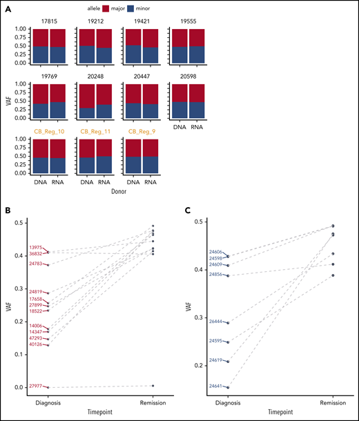 GATA2 ASE is only present in leukemia cells. (A) Bar plot showing the absence of GATA2 ASE in CD34+ cells, of which 8 were derived from bone marrow and 3 from cord blood (in orange). The average VAF along the GATA2 gene at the DNA and RNA levels was identical in all samples. (B) Comparison of VAF measured in RNA at diagnosis or remission in CEBPA DM samples. (C) Comparison of VAF measured in RNA at diagnosis or remission in NPM1-mutated samples.