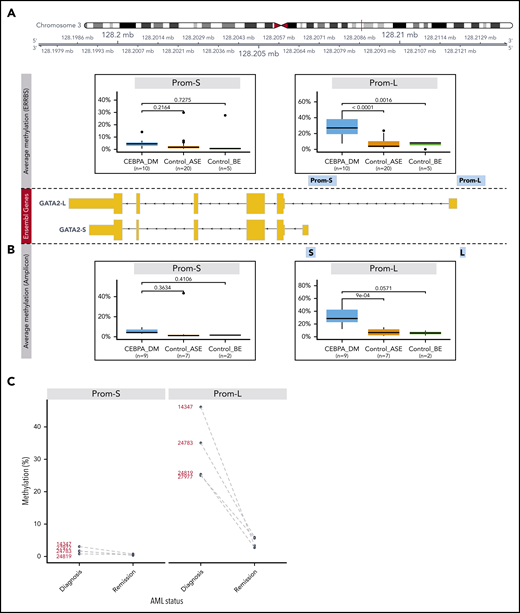 Methylation analysis of GATA2 promoters. (A) Differential methylation analysis of putative promoters of the 2 expressed GATA2 isoforms using ERRBS (Prom-S and Prom-L). The following groups were compared: CEBPA_DM (n = 10), Control_ASE (n = 20), and Control_BE (n = 5). The y-axis indicates the percentage of methylation, averaged for all the CpG positions in each promoter region. (B) Differential methylation analysis of the promoters of the 2 expressed GATA2 isoforms using bisulfite treatment followed by amplicon sequencing. Note that the amplified regions (denoted as S and L) are selections of the sequences examined in the ERRBS data. Groups were defined as described: CEBPA_DM (n = 9), Control_ASE (n = 7), and Control_BE (n = 2). (C) Methylation changes in GATA2 promoters of paired diagnosis-remission samples from patients with CEBPA DM AML.
