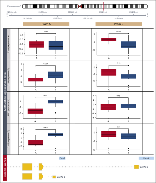 Detection of allele-specific methylation in GATA2 promoters. Differential methylation analysis of putative promoters of the 2 expressed GATA2 isoforms by Nanopore sequencing (Prom-S and Prom-L). In 4 patients with CEBPA DM, the more abundant allele (A) was compared with the less transcriptionally active allele (I) based on a heterozygous single-nucleotide polymorphism: rs72983369 for 2240 and rs1573858 for 2253, 2273, and 3327. Methylation likelihood ratios computed by Nanopolish were averaged across all reads mapping to each allele.