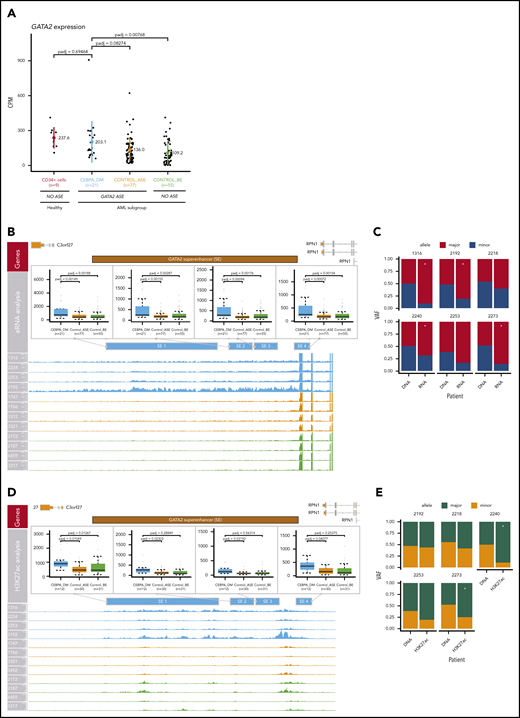Compensation of GATA2 levels by superenhancer activation. (A) Comparison of GATA2 expression levels in AML groups and CD34+ normal control cells (n = 9). The following AML groups were compared: CEBPA_DM (n = 21), Control_ASE (n = 77), and Control_BE (n = 55). No loss of GATA2 expression was observed in CEBPA DMs. (B) Analysis of enhancer RNA (eRNA) expression in the GATA2 −110-kb superenhancer. (C) ASE of eRNA in the GATA2 superenhancer, comparing CEBPA_DM (n = 21), Control_ASE (n = 77), and Control_BE (n = 55). The VAF of the DNA and the eRNA are shown. (D) Analysis of H3K27ac binding levels in the GATA2 −110-kb superenhancer, comparing CEBPA_DM (n = 12), Control_ASE (n = 30), and Control_BE (n = 31). (E) Allele specific binding of H3K27ac in the GATA2 super-enhancer. The VAF of the DNA and the H3K27ac reads are shown. *Indicates significance at a false discovery rate <0.05 in a χ2 test.